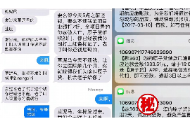 大连为什么选择专业追讨公司来处理您的债务纠纷？